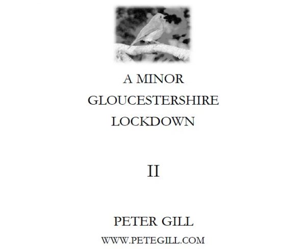 A Minor Gloucestershire Lockdown - II