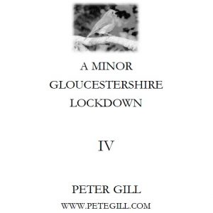 A Minor Gloucestershire Lockdown - IV