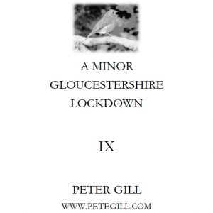 A Minor Gloucestershire Lockdown - IX