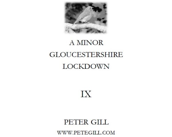 A Minor Gloucestershire Lockdown - IX