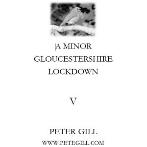 A Minor Gloucestershire Lockdown - V