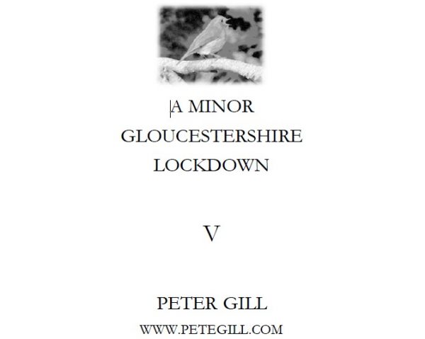 A Minor Gloucestershire Lockdown - V