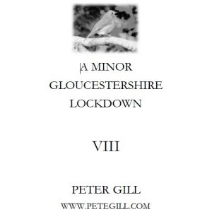 A Minor Gloucestershire Lockdown - VIII