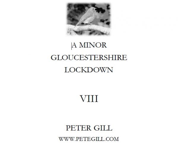 A Minor Gloucestershire Lockdown - VIII