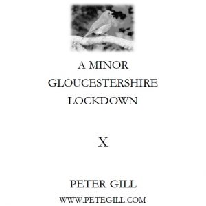 A Minor Gloucestershire Lockdown - X